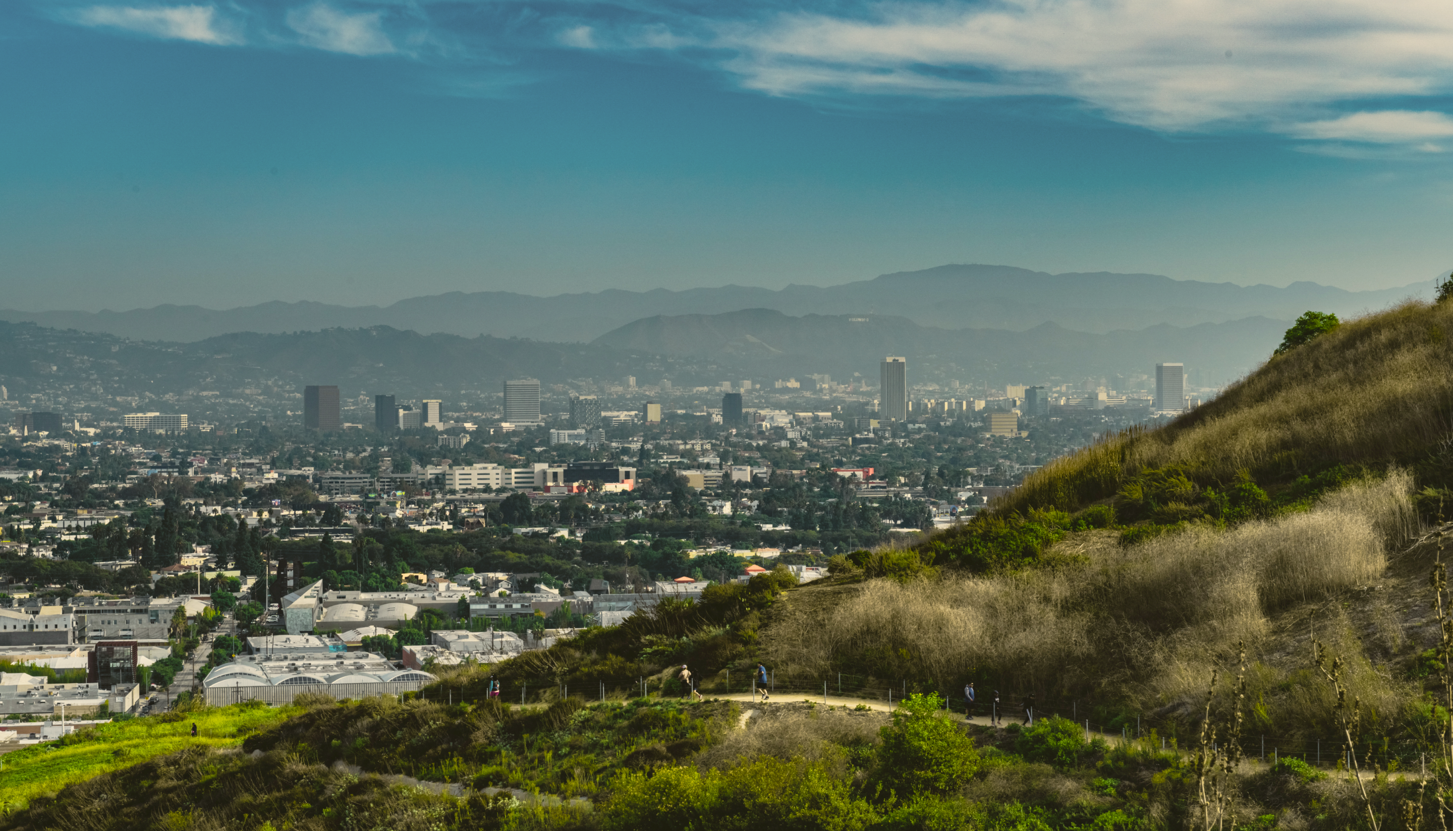 Habitat_Neighborhood-289 (7).png