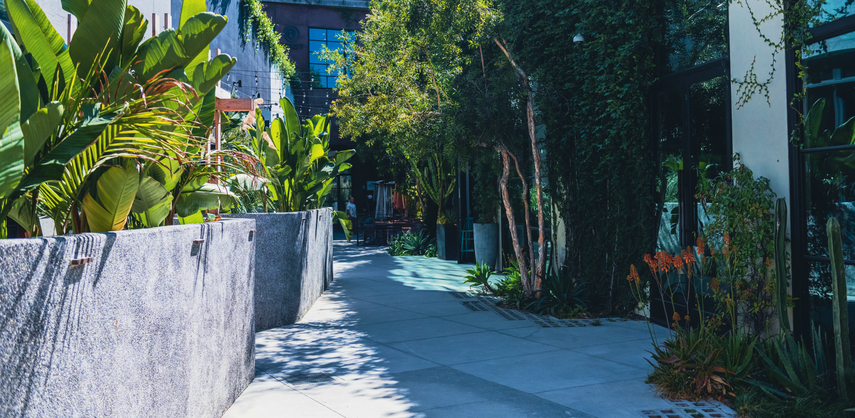 EXT04_Campus Aerial_Opt 17 (9).png